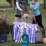 Grand Champion Tico et Son Fils Dobby – Une Victoire de Famille !