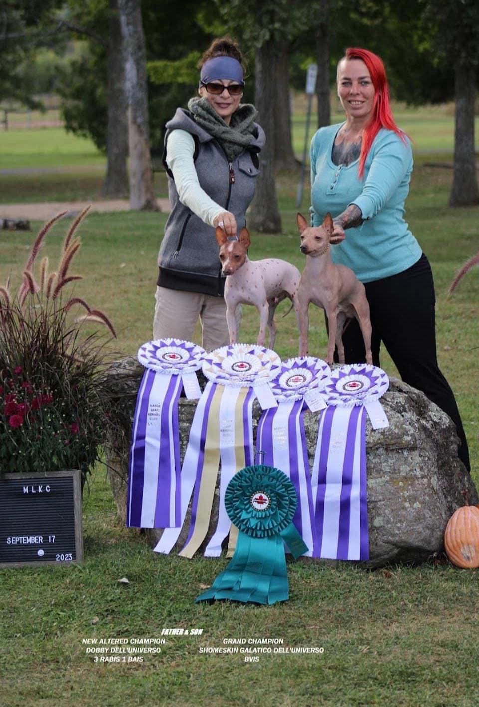 Grand Champion Tico et Son Fils Dobby – Une Victoire de Famille !