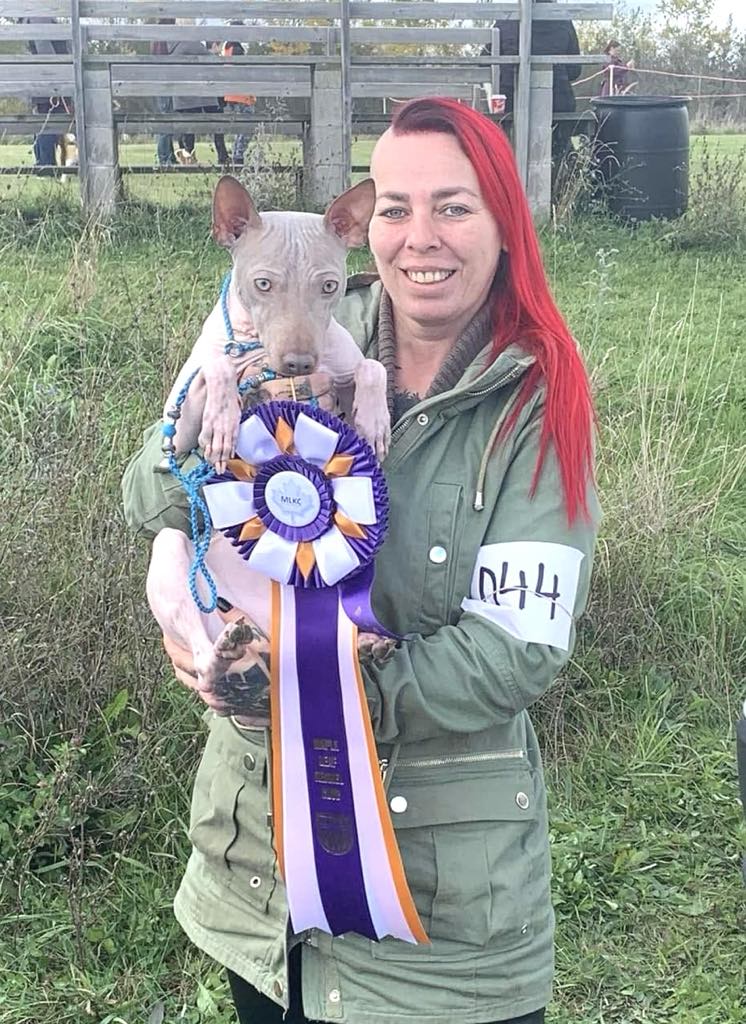 Note grand champion Cosmos — importation de Russie — Best in Show