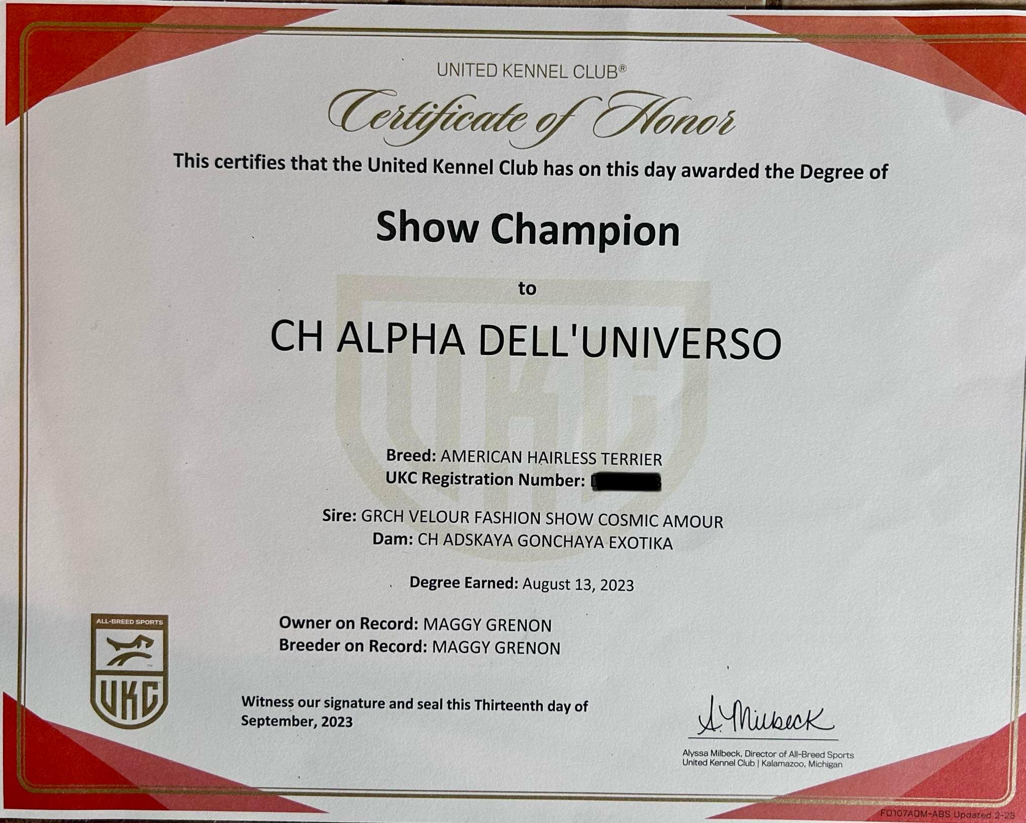 Alpha – certificat et honneur 1