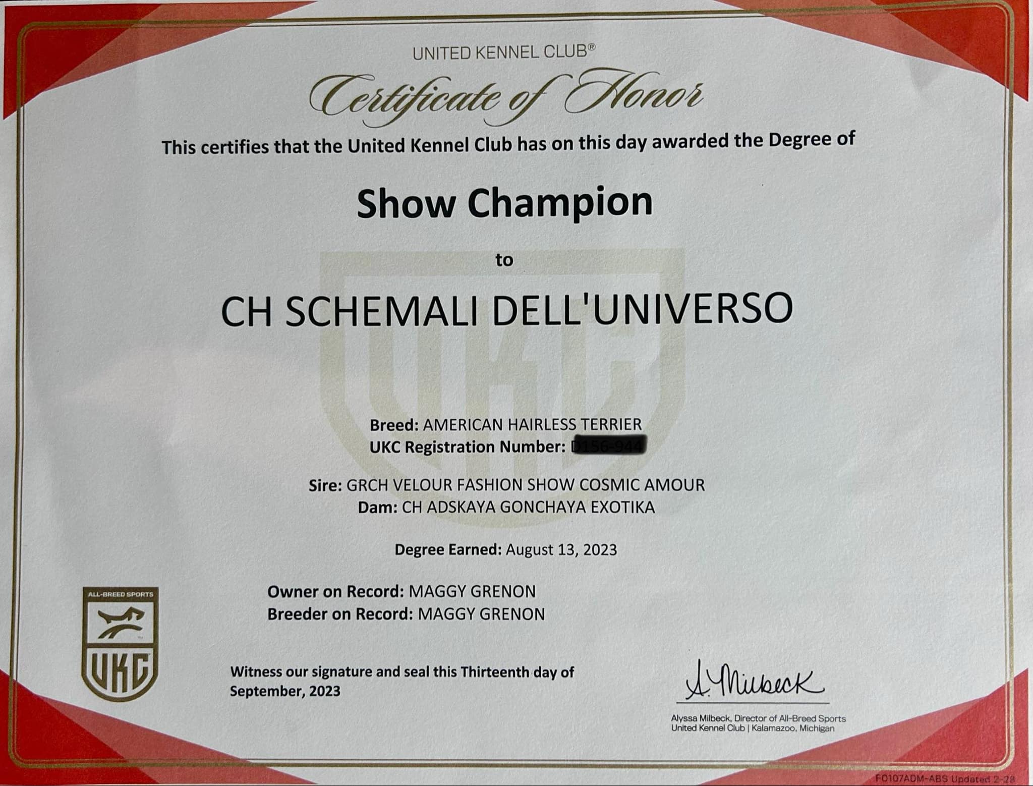 Schemali – certificat et honneur 1