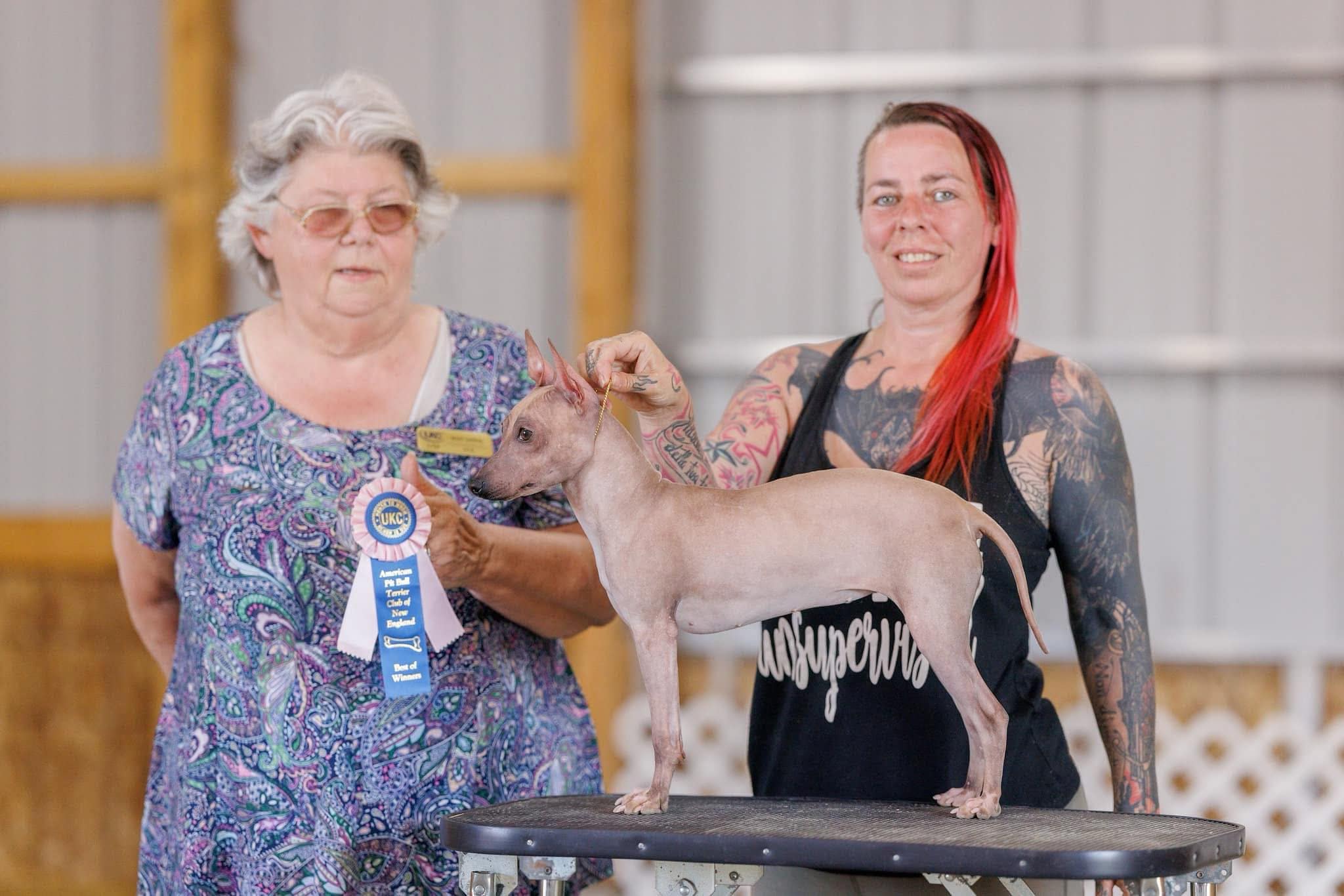 Schemali – photo 2