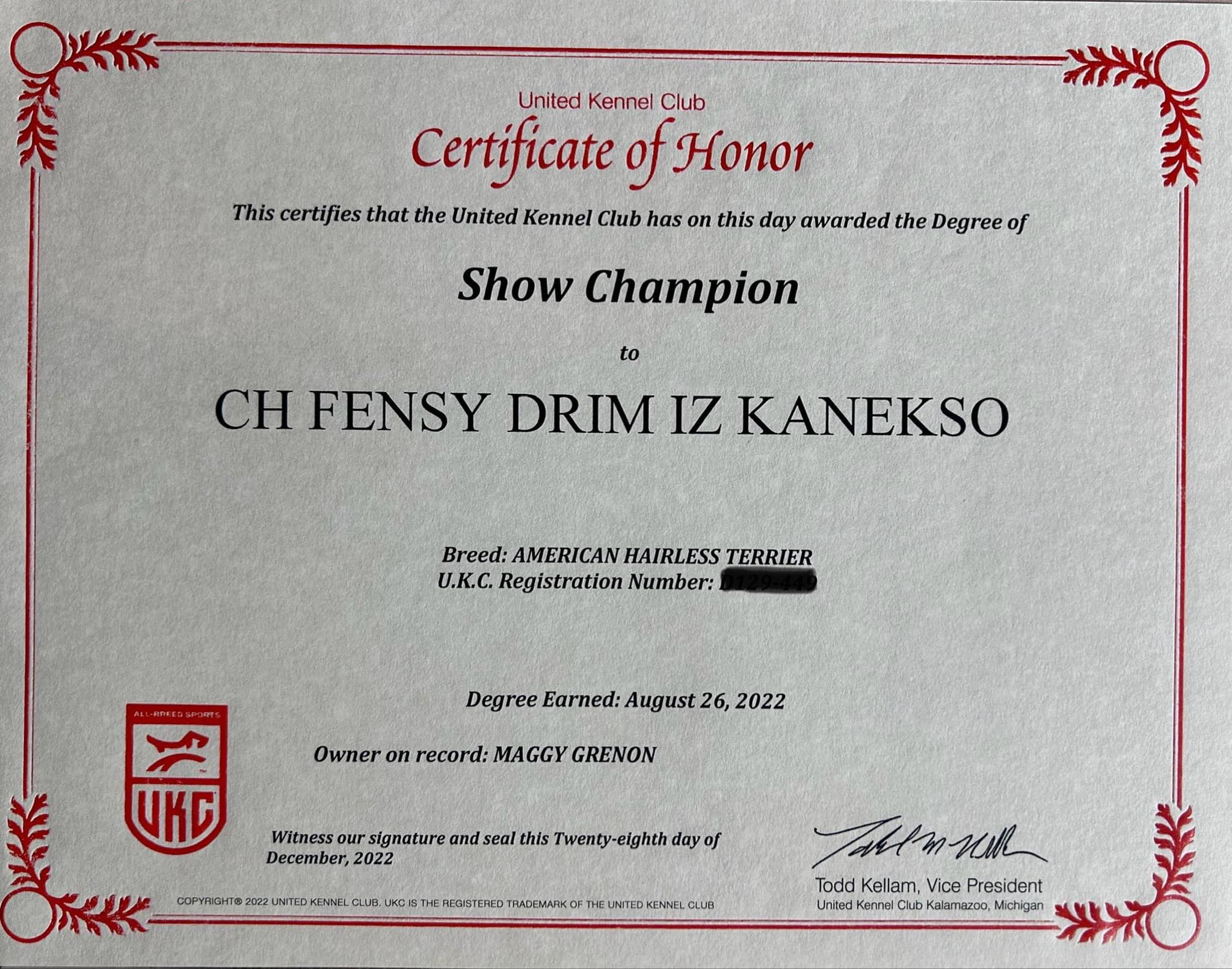 Fensy – certificat et honneur 1