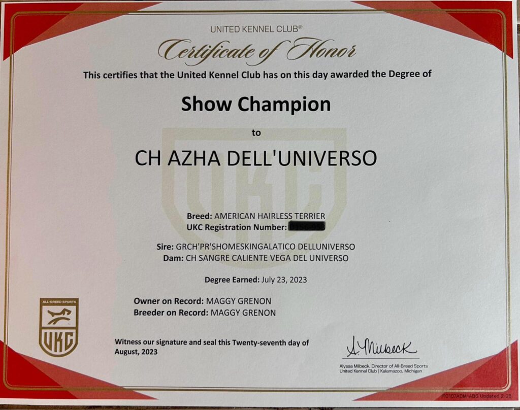 Azha – certificat et honneur 1