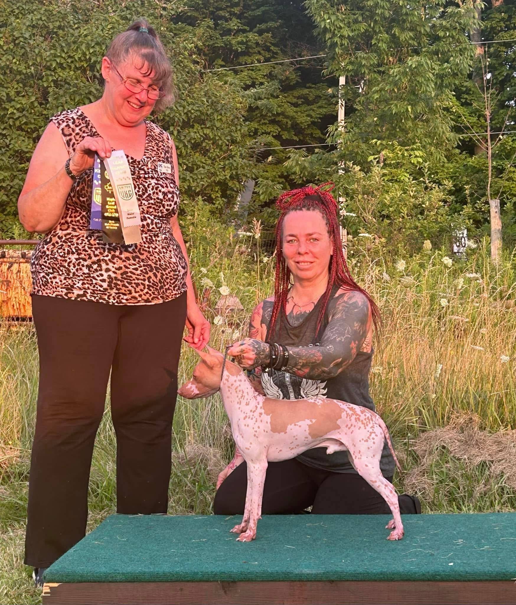 Ghost Star — photo 6