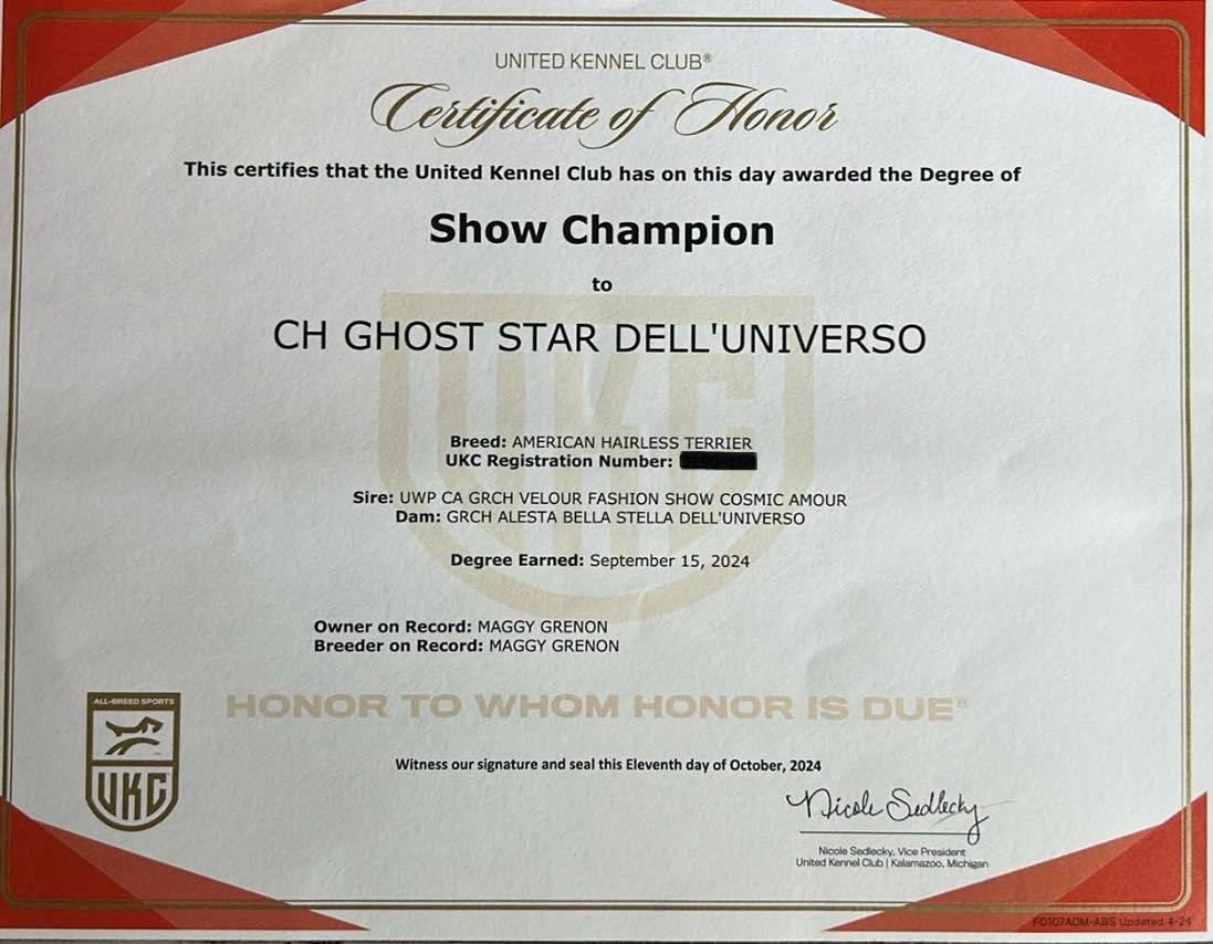 Ghost Star — photo 8