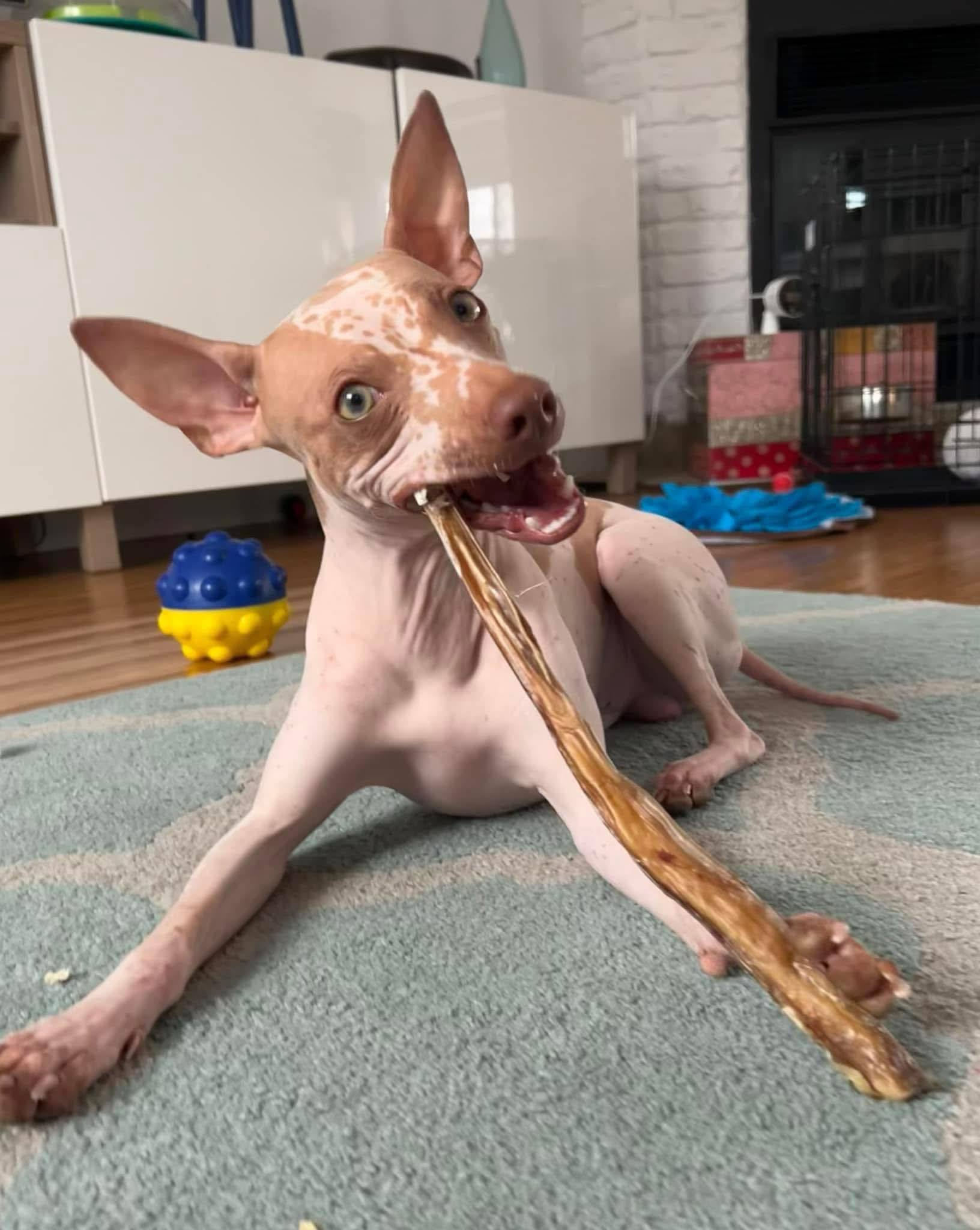 Ghost Star — photo 4