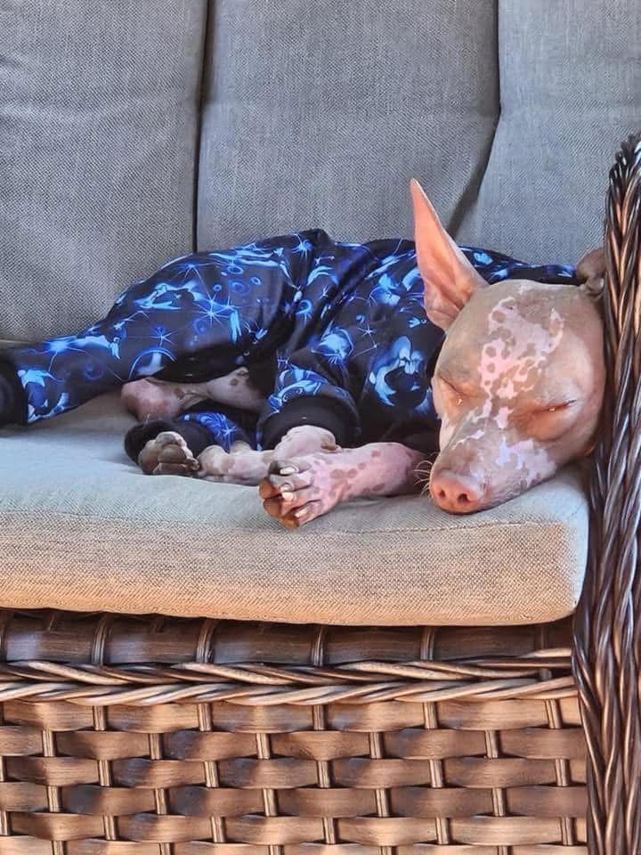 Ghost Star — photo 3