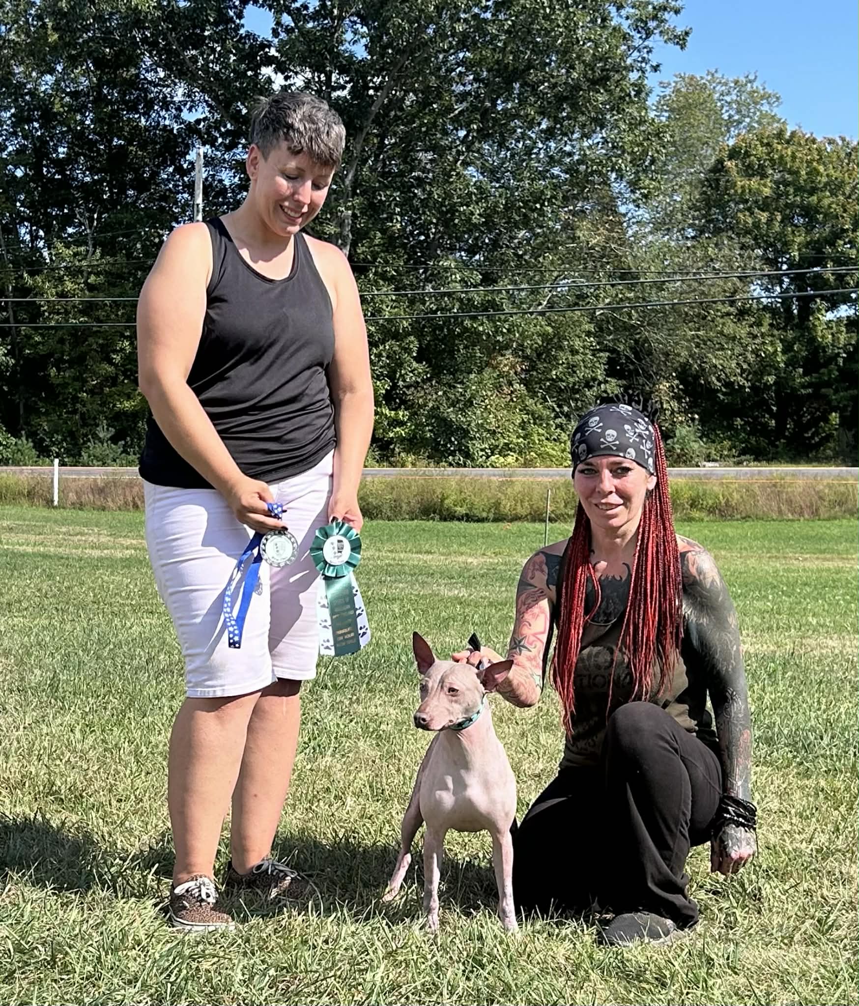 Cosmos – nouvelle photo 3 2026