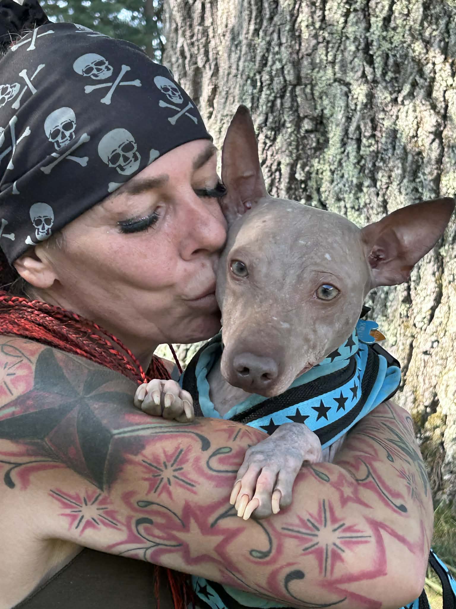 Cosmos – nouvelle photo 1 2026