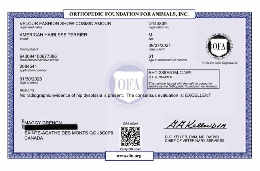 Cosmos – certificat 2