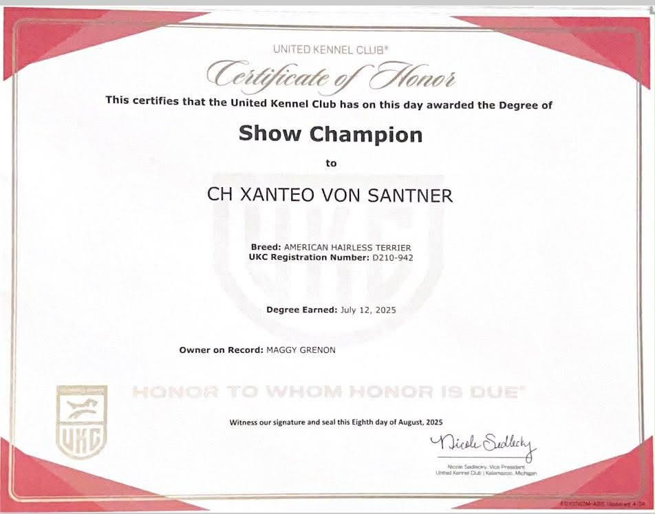 Téo – certificat et honneur 1