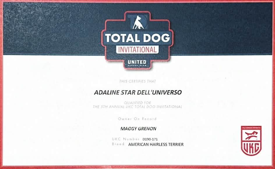 Adaline – certificat et honneur 3