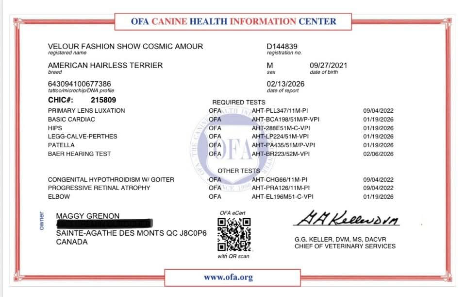 Cosmos – certificat 1