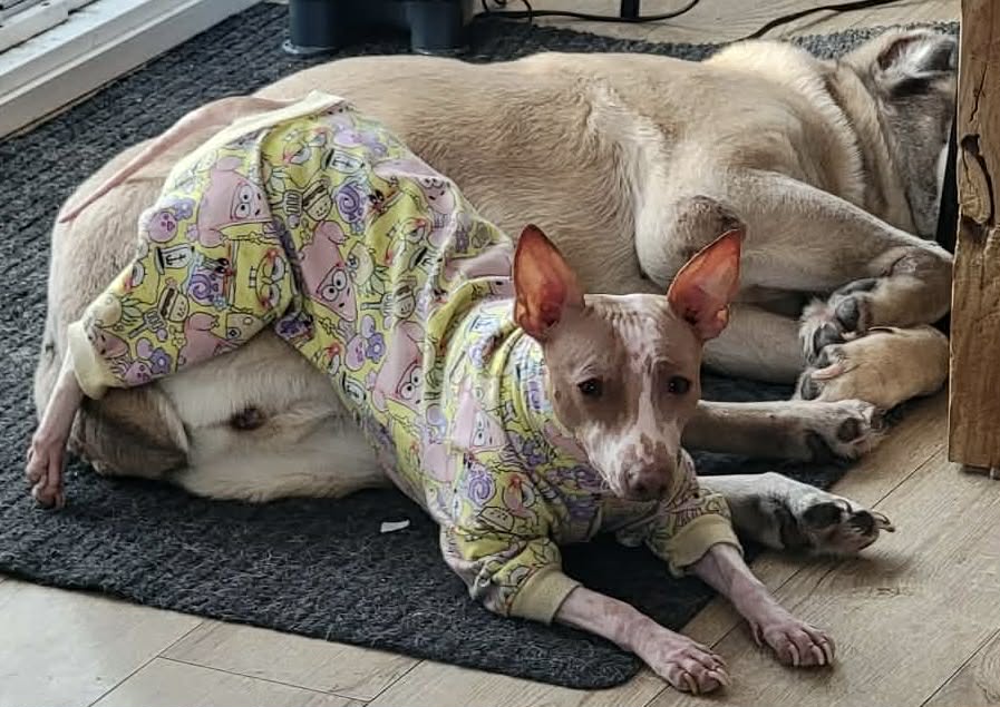 Adaline Star – photo 5