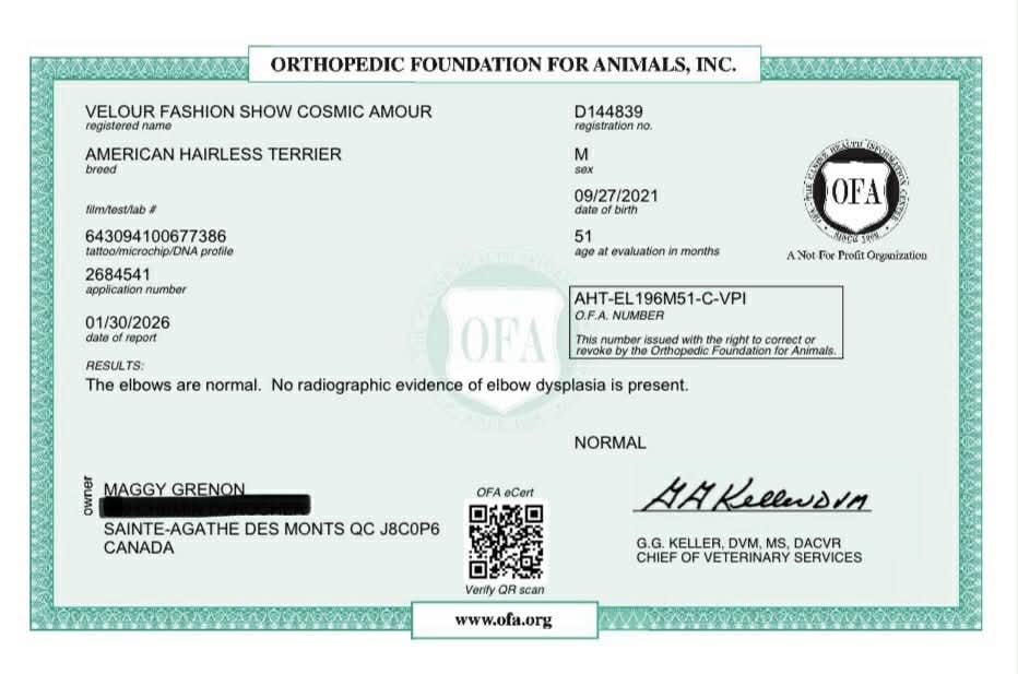 Cosmos – certificat 3