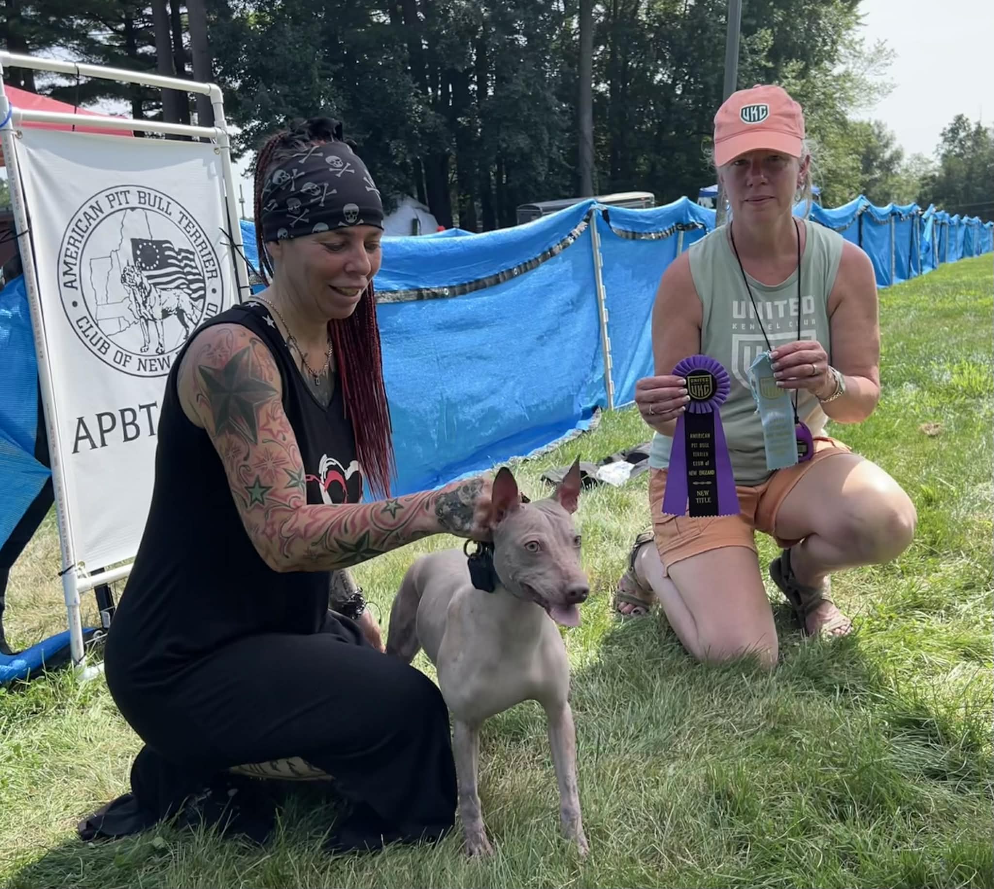 Cosmos – nouvelle photo 8 2026