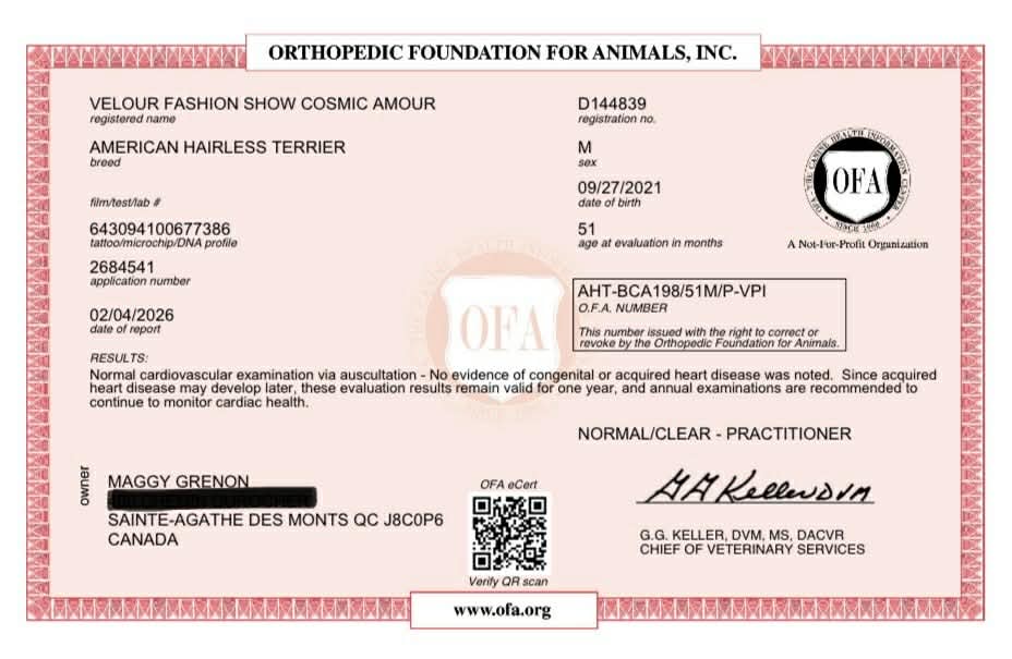 Cosmos – certificat 5