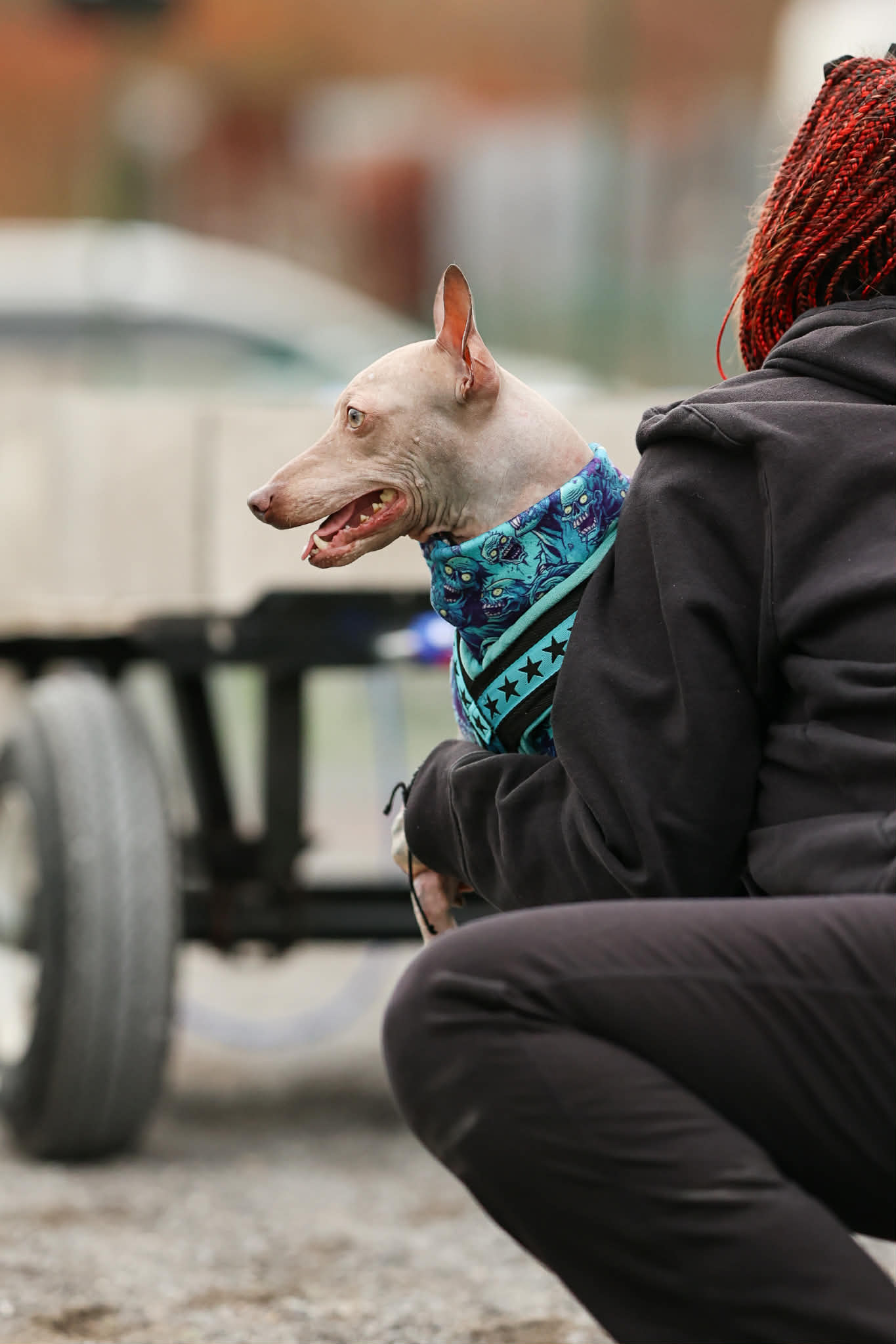 Cosmos – nouvelle photo 4 2026