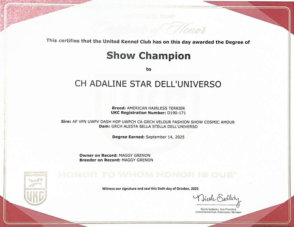 Adaline – certificat et honneur 2