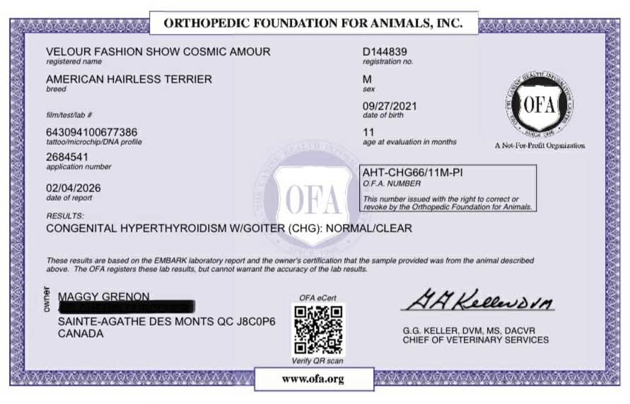 Cosmos – certificat 4