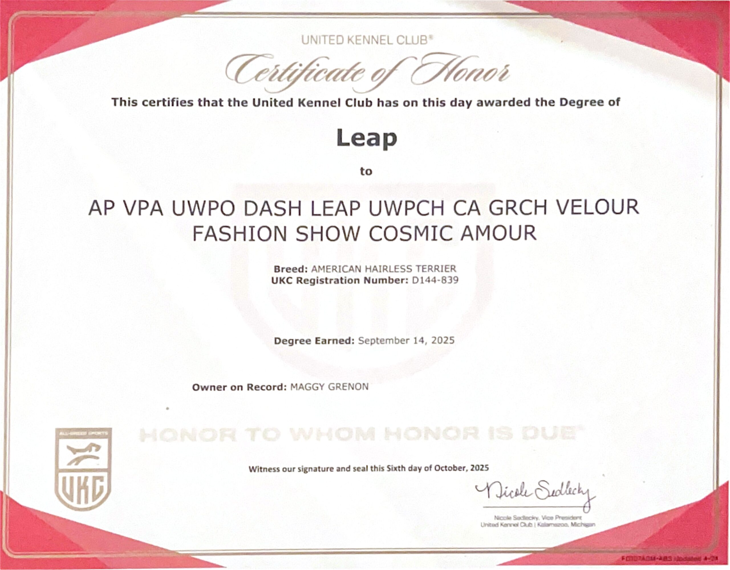 Cosmos – certificat et honneur 7