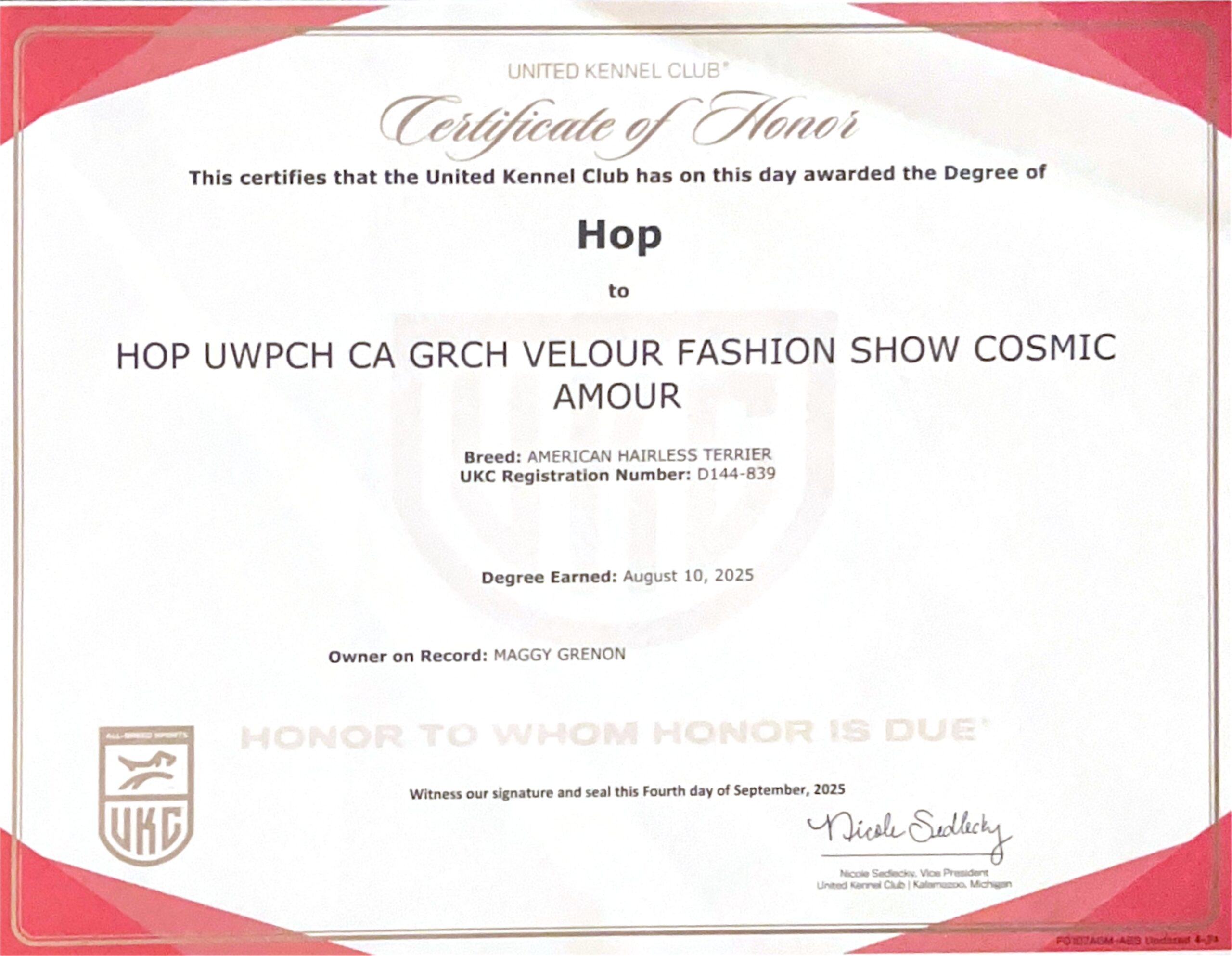 Cosmos – certificat et honneur 8