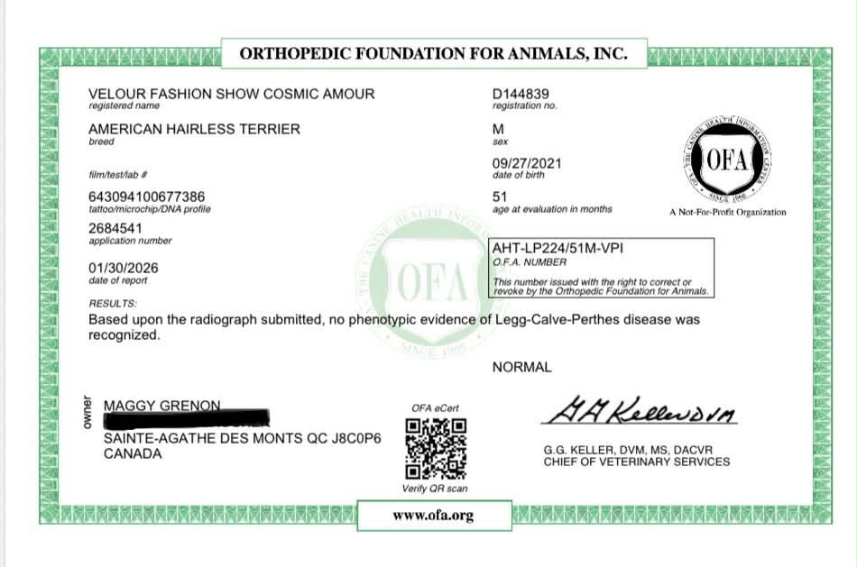 Cosmos – certificat 6