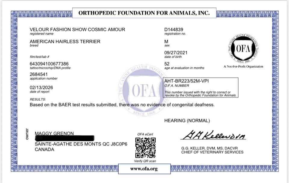 Cosmos – certificat 7