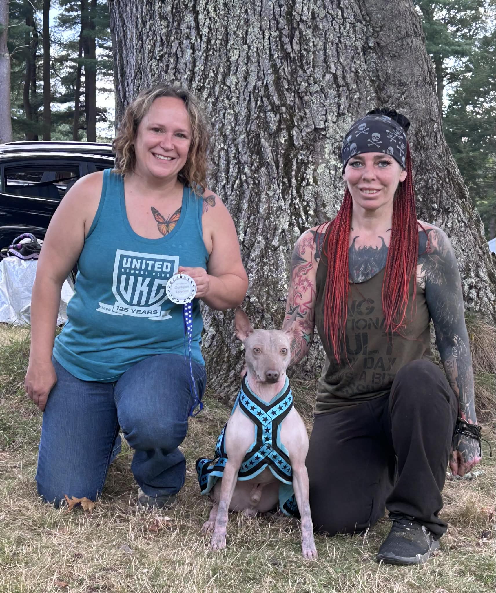 Cosmos – nouvelle photo 7 2026