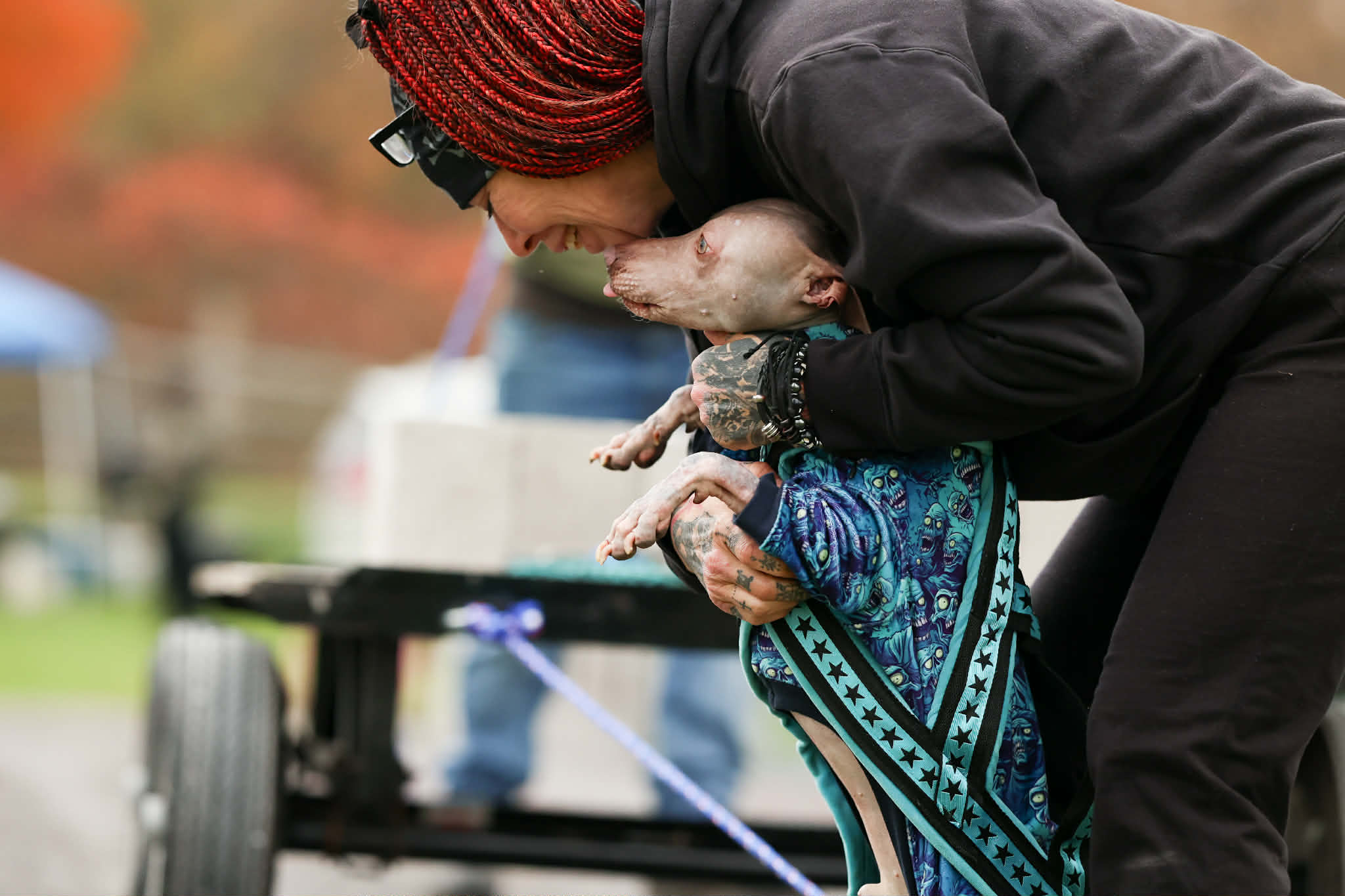 Cosmos – nouvelle photo 6 2026