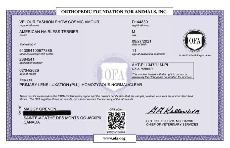 Cosmos – certificat 9