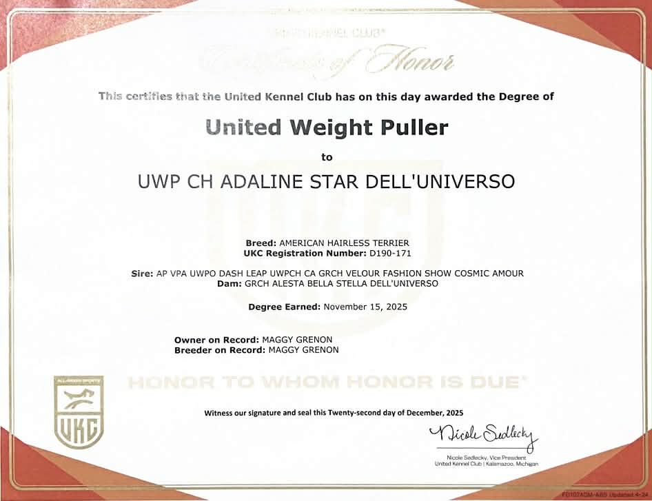 Adaline – certificat et honneur 1