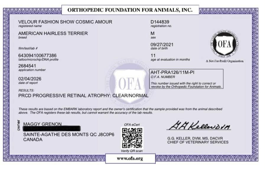 Cosmos – certificat 10