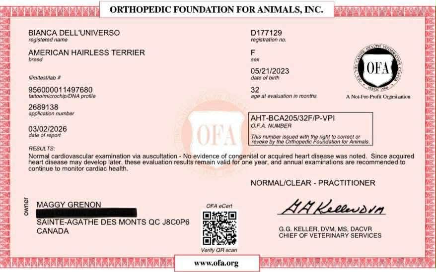 Bianca – certification OFA 2