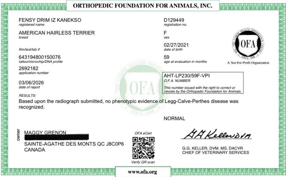 Fensy – certification OFA 2