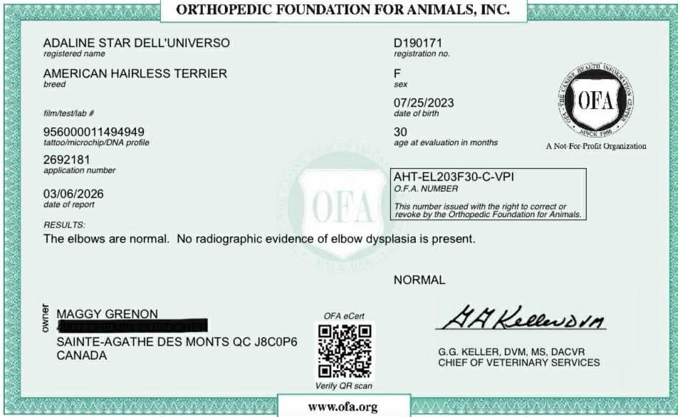 Adaline – certification OFA 1