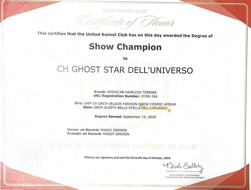 Ghost Star – certification OFA 1