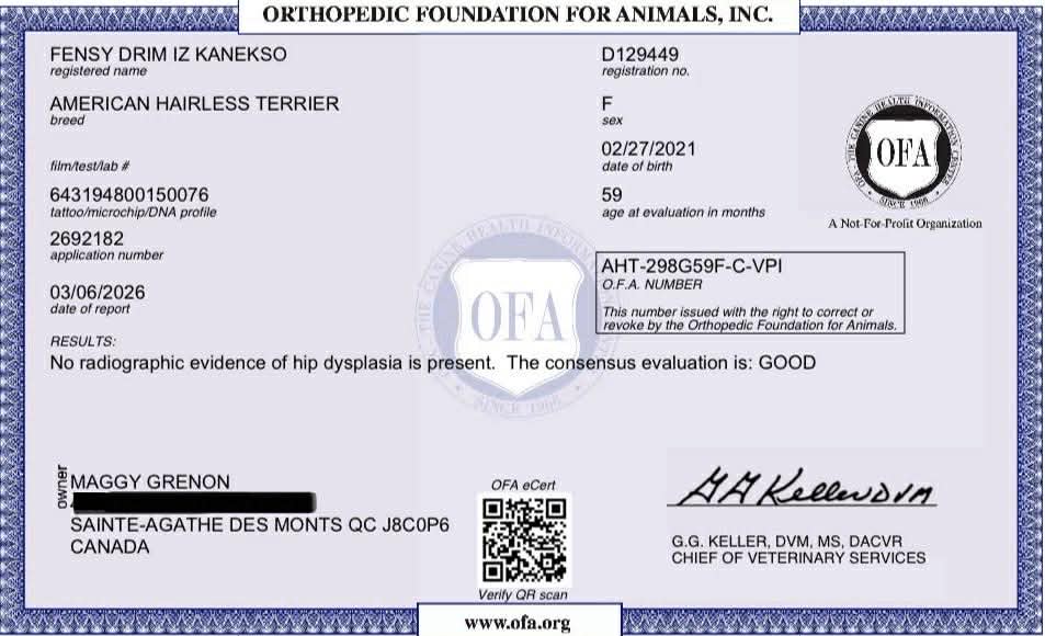 Fensy – certification OFA 3