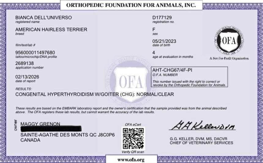 Bianca – certification OFA 1