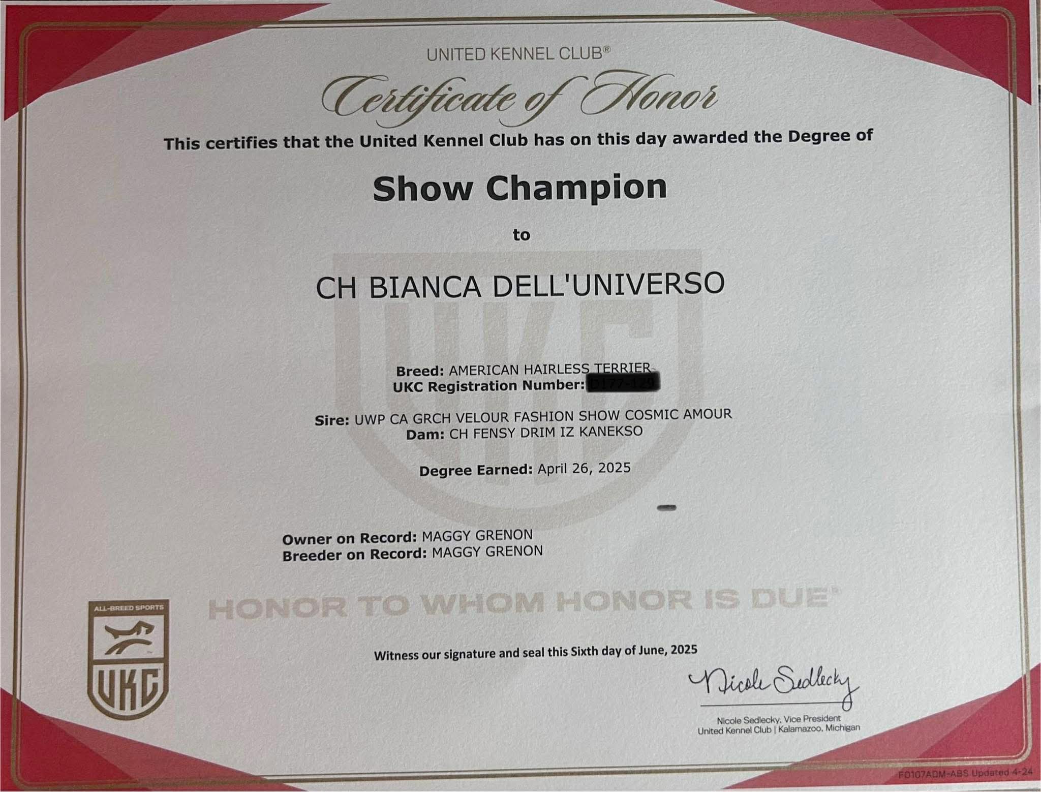 Bianca – certificat et honneur 1