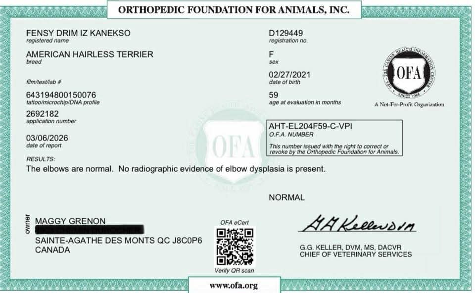 Fensy – certification OFA 1