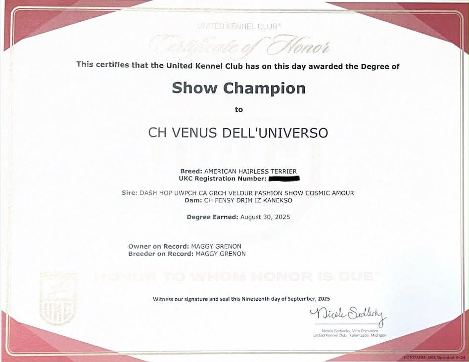 Venus – certificat et honneur 1