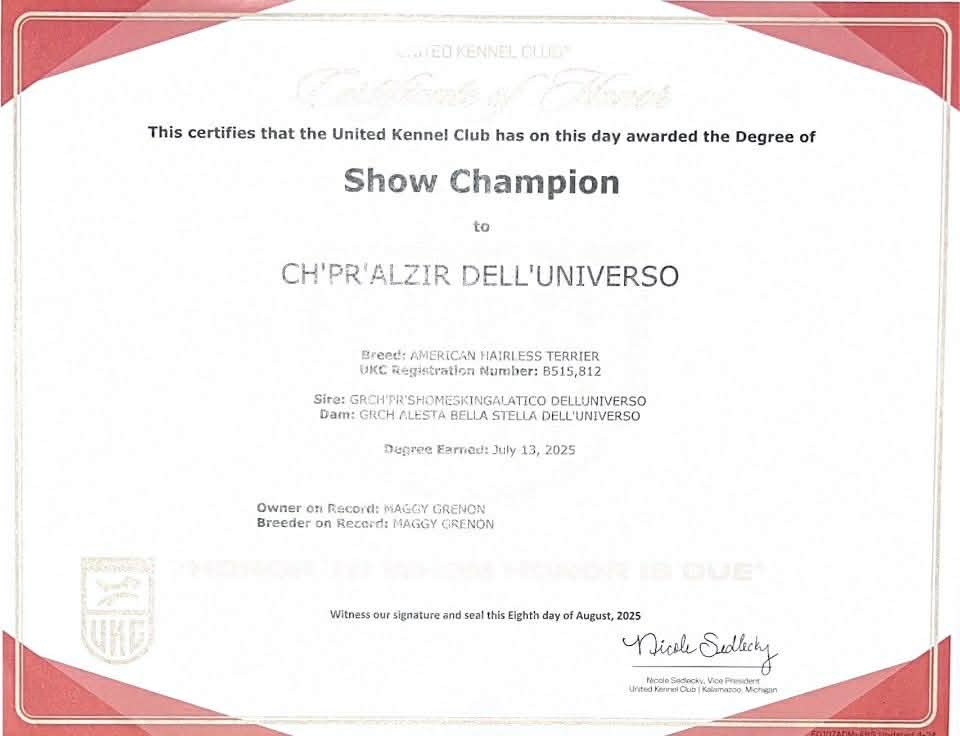 Azir – certificat UKC 2
