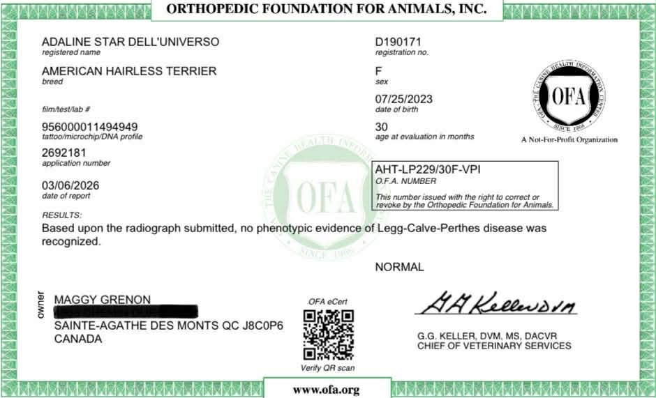 Adaline – certification OFA 2