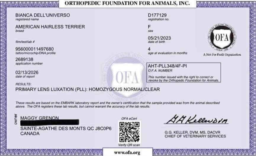 Bianca – certification OFA 3