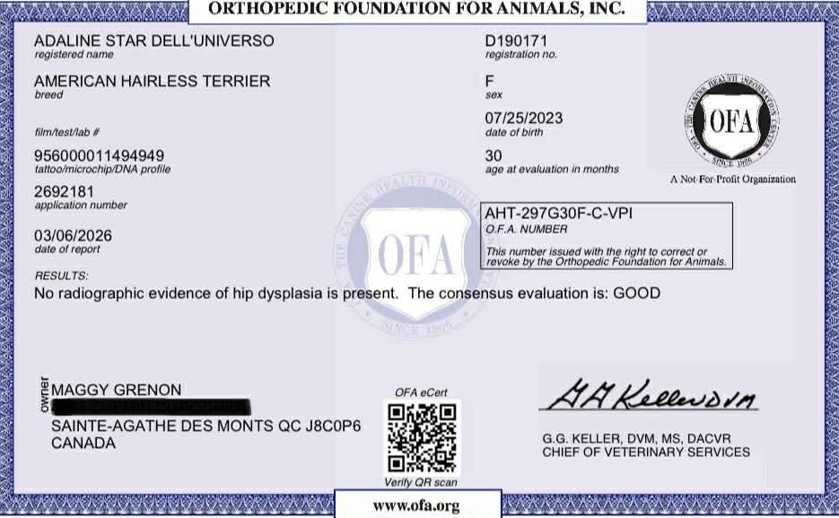 Adaline – certification OFA 3