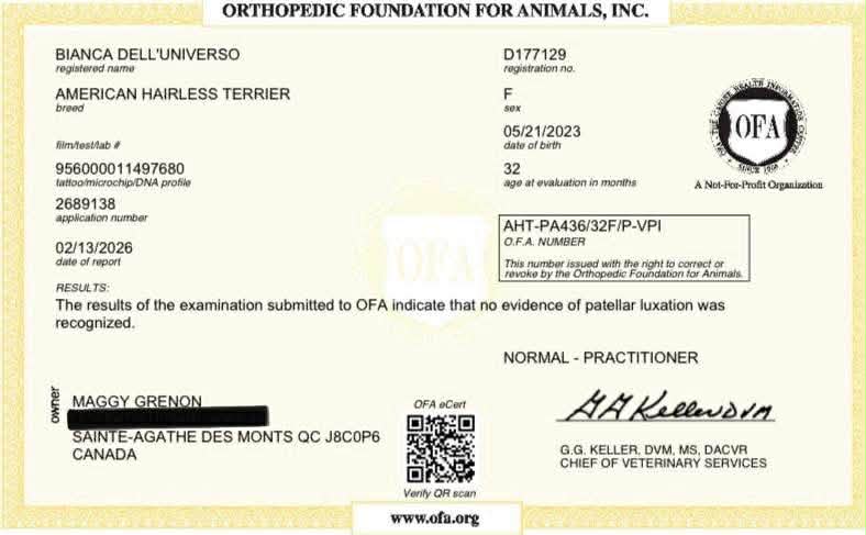 Bianca – certification OFA 4