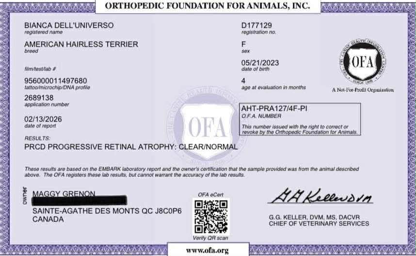 Bianca – certification OFA 5